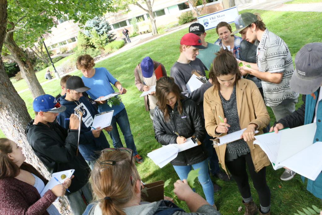 A group of Natural Resource Science students write in their notebooks. 