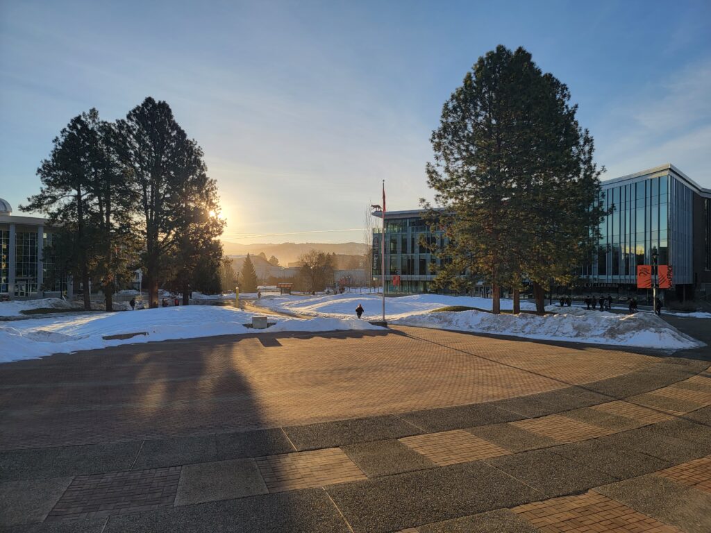 A photo of the campus commons in the winter.