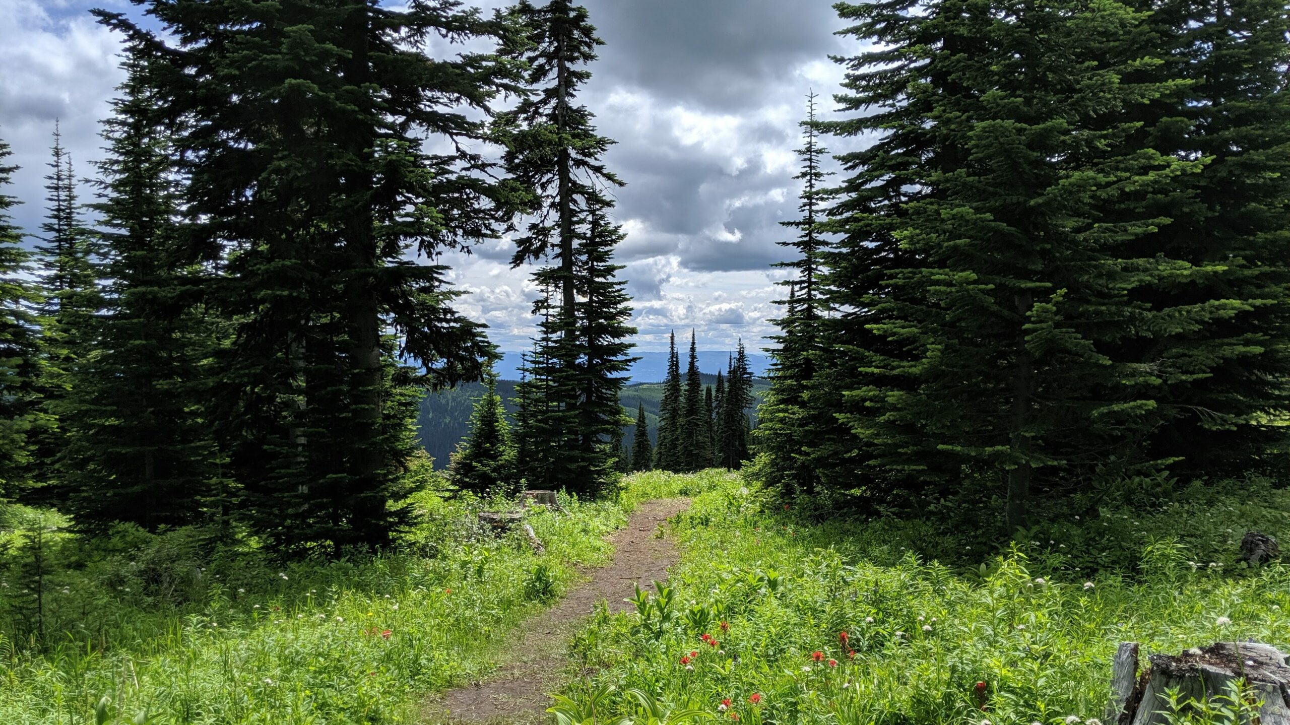 Image of view from a Sun Peaks hiking trail
